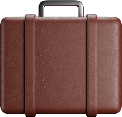 3D Briefcase Bag